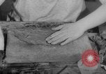 Image of women workers United States USA, 1931, second 50 stock footage video 65675048208