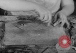 Image of women workers United States USA, 1931, second 54 stock footage video 65675048208