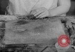 Image of women workers United States USA, 1931, second 56 stock footage video 65675048208