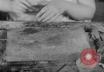Image of women workers United States USA, 1931, second 57 stock footage video 65675048208