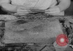 Image of women workers United States USA, 1931, second 59 stock footage video 65675048208