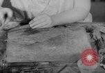 Image of women workers United States USA, 1931, second 60 stock footage video 65675048208