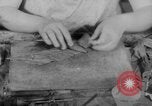 Image of women workers United States USA, 1931, second 61 stock footage video 65675048208
