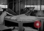 Image of women workers United States USA, 1931, second 10 stock footage video 65675048209