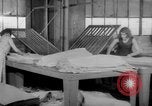 Image of women workers United States USA, 1931, second 12 stock footage video 65675048209