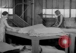 Image of women workers United States USA, 1931, second 14 stock footage video 65675048209