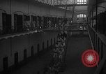 Image prisonniers double-temps en formation à partir de leurs cellules Valence Espagne, 1942, de la seconde 22 séquences d'archives historiques vidéo 65675048276