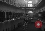 Image prisonniers double-temps en formation à partir de leurs cellules Valence Espagne, 1942, de la seconde 55 séquences d'archives historiques vidéo 65675048276