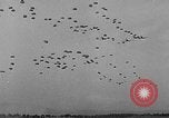 Standbild Fallschirmjäger New York United States USA, 1946, aus Sekunde 51 historischem Filmmaterial Videoclip 65675048281