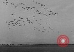 Standbild Fallschirmjäger New York United States USA, 1946, aus Sekunde 52 historischem Filmmaterial Videoclip 65675048281