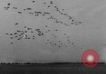 Standbild Fallschirmjäger New York United States USA, 1946, aus Sekunde 53 historischem Filmmaterial Videoclip 65675048281