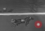 Standbild Trabrennen Yonkers New York USA, 1950, aus Sekunde 50 historischem Filmmaterial Videoclip 65675048290
