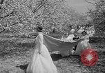 Standbild Blossom Queen United States USA, 1950, aus Sekunde 55 historischem Filmmaterial Videoclip 65675048292