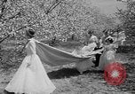 Standbild Blossom Queen United States USA, 1950, aus Sekunde 56 historischem Filmmaterial Videoclip 65675048292