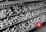 Standbild Supermarkt Spanien, 1956, aus Sekunde 39 historischem Filmmaterial Videoclip 65675048294