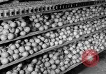 Standbild Supermarkt Spanien, 1956, aus Sekunde 40 historischem Filmmaterial Videoclip 65675048294
