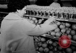Standbild Supermarkt Spanien, 1956, aus Sekunde 42 historischem Filmmaterial Videoclip 65675048294