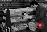 Standbild Supermarkt Spanien, 1956, aus Sekunde 45 historischem Filmmaterial Videoclip 65675048294