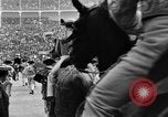 Immagine di Corride Spagna, 1956, secondo 14 filmato di repertorio 65675048297