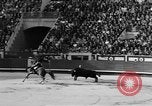 Immagine di Corride Spagna, 1956, secondo 49 filmato di repertorio 65675048297