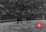 Immagine di Corride Spagna, 1956, secondo 59 filmato di repertorio 65675048297