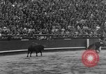 Immagine di Corride Spagna, 1956, secondo 60 filmato di repertorio 65675048297