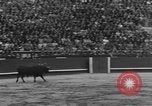 Immagine di Corride Spagna, 1956, secondo 61 filmato di repertorio 65675048297