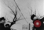Immagine di I prigionieri di guerra Cina, 1951, secondo 38 filmato di repertorio 65675048302