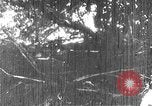 Image of Korean people suffering under Japanese occupation Korea, 1945, second 15 stock footage video 65675048305