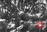 Image of Korean people suffering under Japanese occupation Korea, 1945, second 24 stock footage video 65675048305