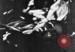 Image of Korean people suffering under Japanese occupation Korea, 1945, second 28 stock footage video 65675048305