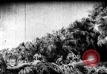 Image of Korean people suffering under Japanese occupation Korea, 1945, second 44 stock footage video 65675048305