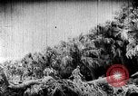 Image of Korean people suffering under Japanese occupation Korea, 1945, second 46 stock footage video 65675048305