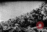 Image of Korean people suffering under Japanese occupation Korea, 1945, second 47 stock footage video 65675048305
