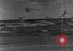 Image of North Korean Propaganda film Korea, 1945, second 14 stock footage video 65675048306