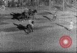 Image of Korean people suffering in post-World War II era Korea, 1947, second 18 stock footage video 65675048307