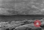 Image of Korean livestock industry North Korea, 1947, second 6 stock footage video 65675048309