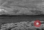 Image of Korean livestock industry North Korea, 1947, second 7 stock footage video 65675048309