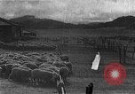 Image of Korean livestock industry North Korea, 1947, second 9 stock footage video 65675048309