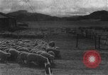Image of Korean livestock industry North Korea, 1947, second 10 stock footage video 65675048309