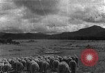 Image of Korean livestock industry North Korea, 1947, second 24 stock footage video 65675048309
