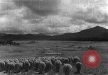 Image of Korean livestock industry North Korea, 1947, second 26 stock footage video 65675048309