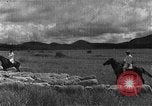 Image of Korean livestock industry North Korea, 1947, second 34 stock footage video 65675048309