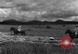 Image of Korean livestock industry North Korea, 1947, second 35 stock footage video 65675048309