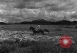 Image of Korean livestock industry North Korea, 1947, second 37 stock footage video 65675048309