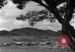 Image of Korean livestock industry North Korea, 1947, second 47 stock footage video 65675048309