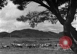 Image of Korean livestock industry North Korea, 1947, second 48 stock footage video 65675048309