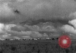 Image of Korean livestock industry North Korea, 1947, second 56 stock footage video 65675048309