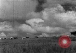 Image of Korean livestock industry North Korea, 1947, second 59 stock footage video 65675048309