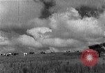 Image of Korean livestock industry North Korea, 1947, second 60 stock footage video 65675048309